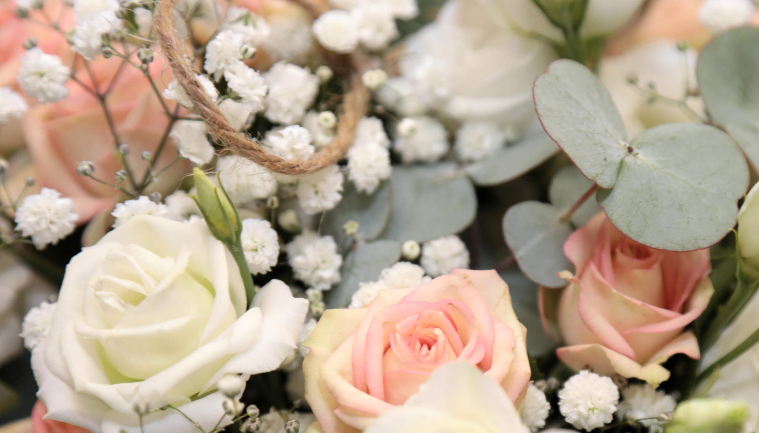 Sandra & Éric Sandra & Éric