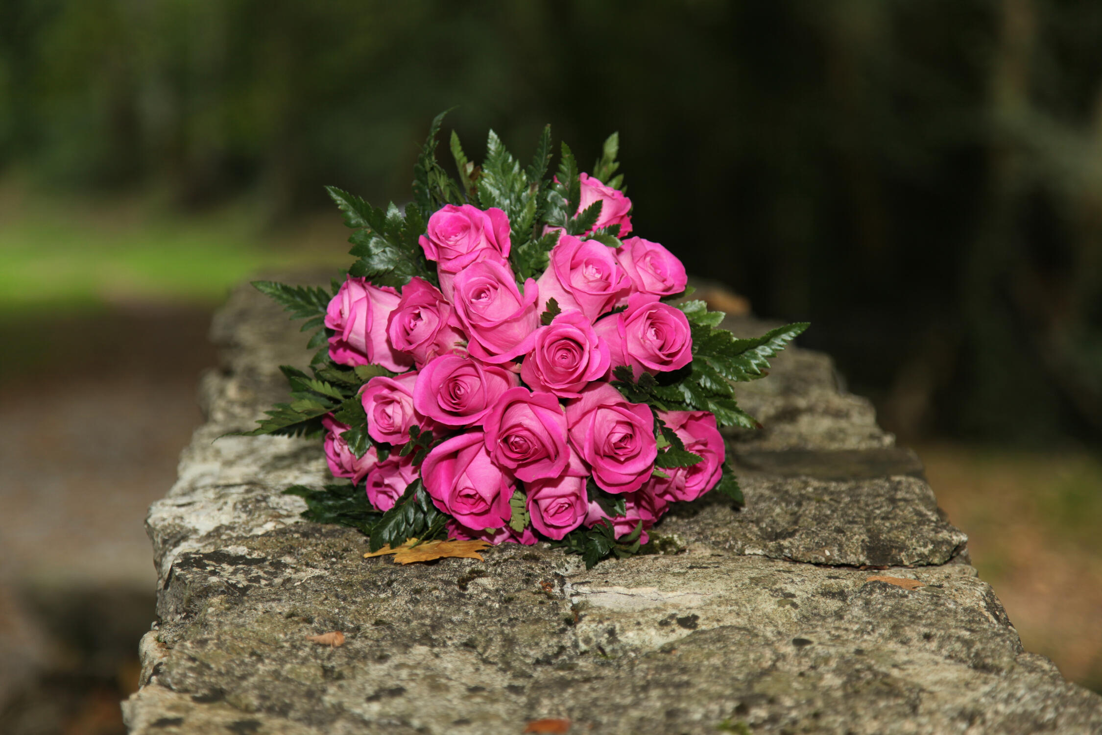 Christine & Vincent Christine & Vincent